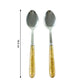 Premium Stainless Steel Dining Spoon Set (Pack Of 2)