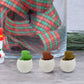 18030 Dinosaur Shaped Erasers  Egg Shape Eraser For Kids Dinosaur Erasers Puzzle 3d Eraser Mini Eraser Dinosaur Toys Desk Pets For Students Classroom Prizes Class Rewards Party Favors (5 Pcs Set)