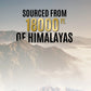 Og Wellness Pure Himalayan Shilajit Resin (20 Gm  1 Pc)